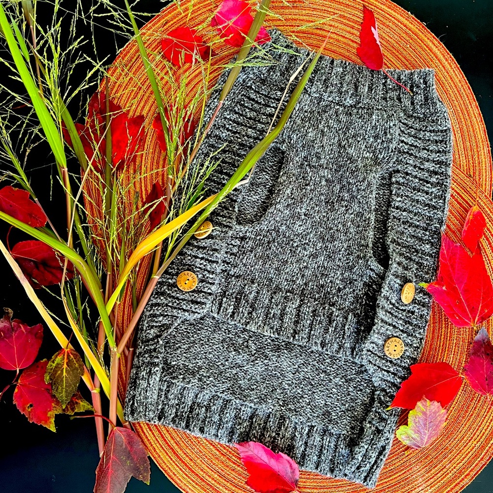 Sweater for small dog, Martha Stewart pets, size medium fits dog 12-18 lbs.